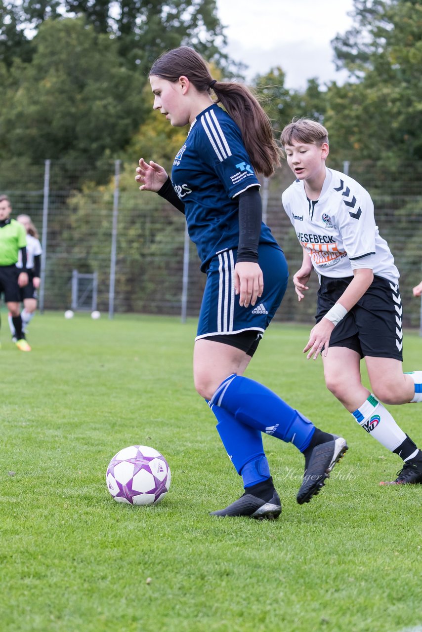 Bild 83 - B-Juniorinnen SV Henstedt Ulzburg - Hamburger SV : Ergebnis: 2:3